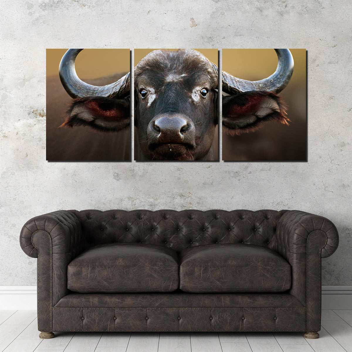 Cape Buffalo - Kruger National Park Wall Art