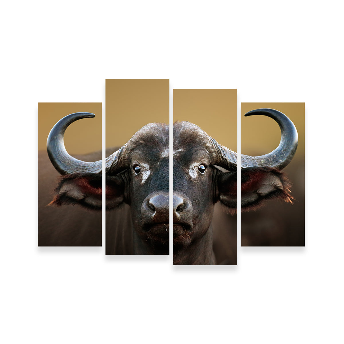 Cape Buffalo - Kruger National Park Wall Art