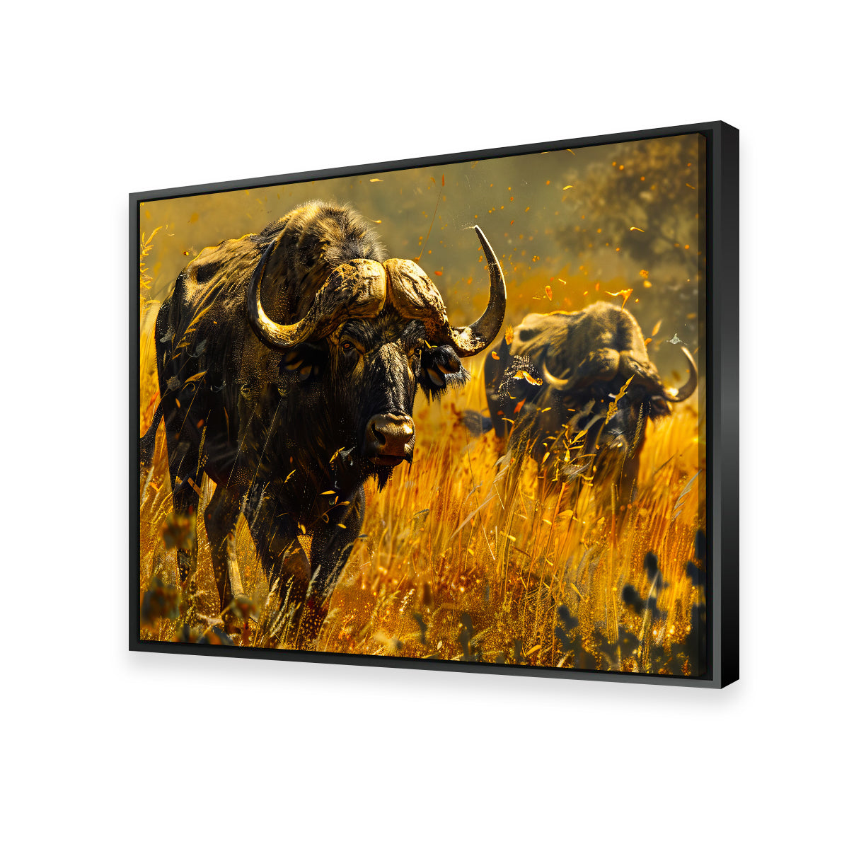 Cape Buffaloes Wall Art