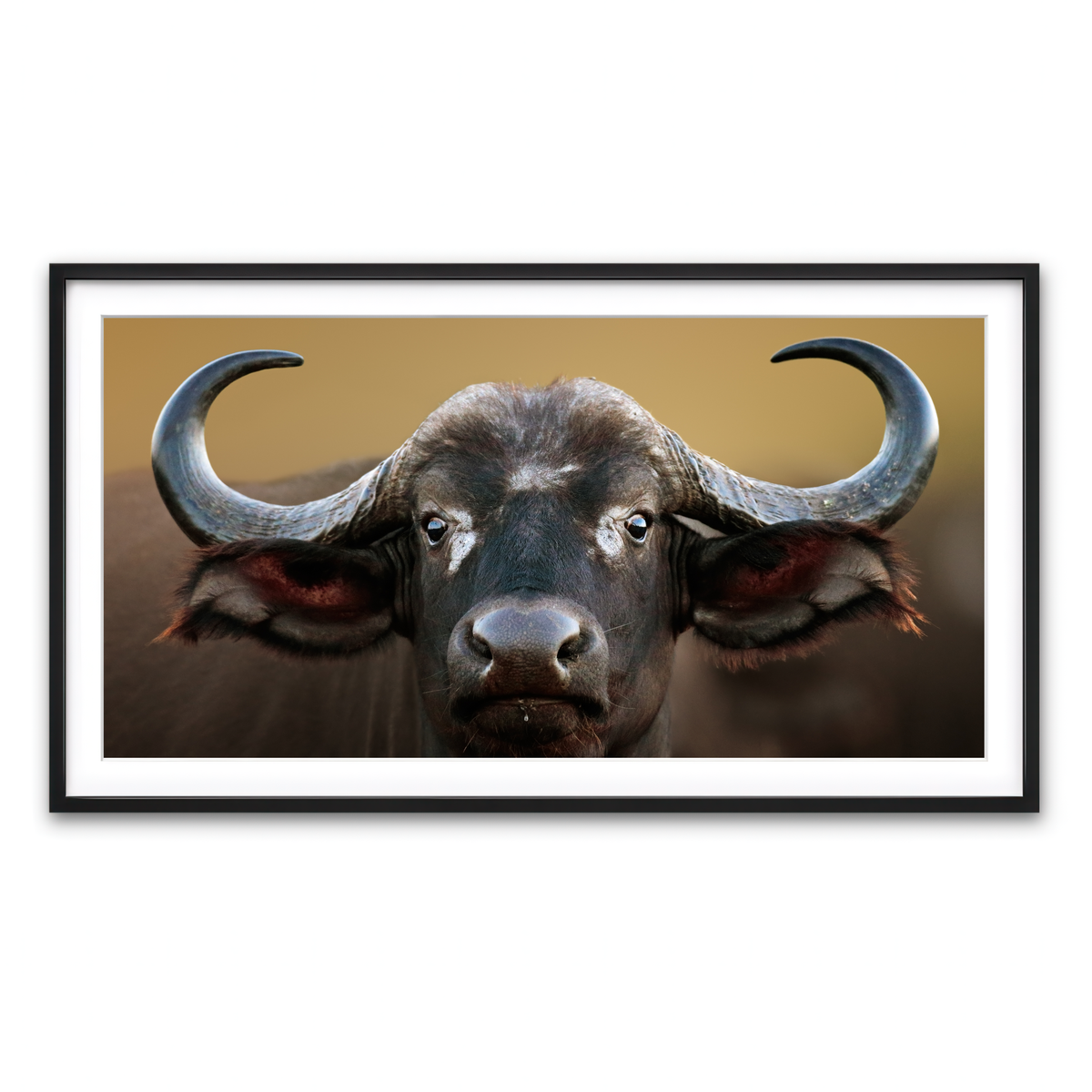 Framed Print 2x1 Black