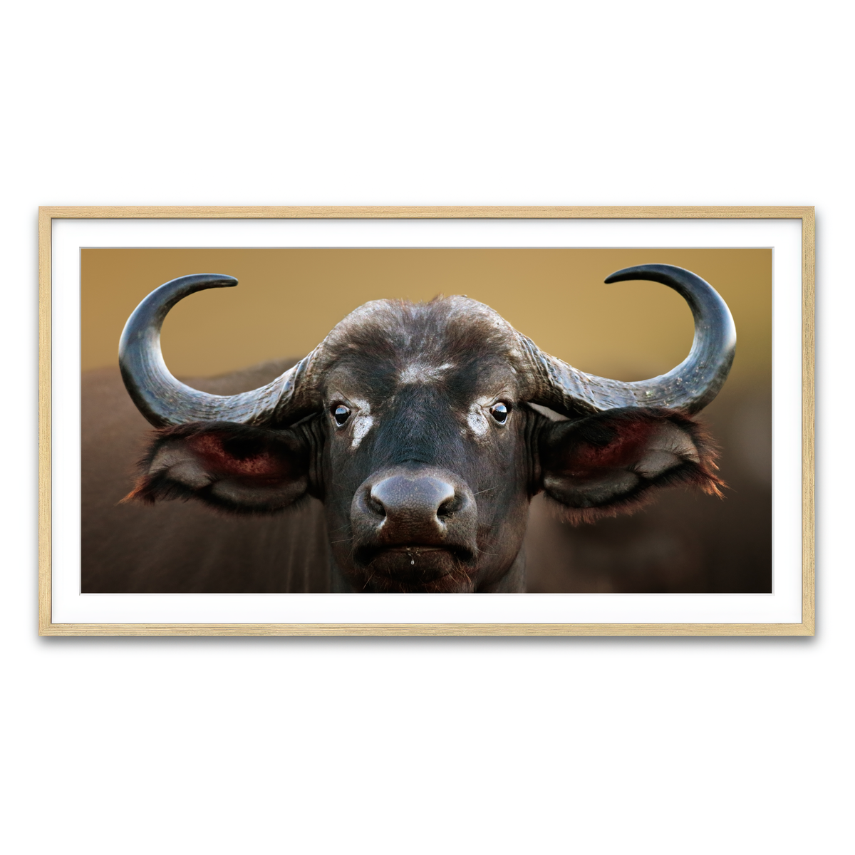 Framed Print 2x1 Natural