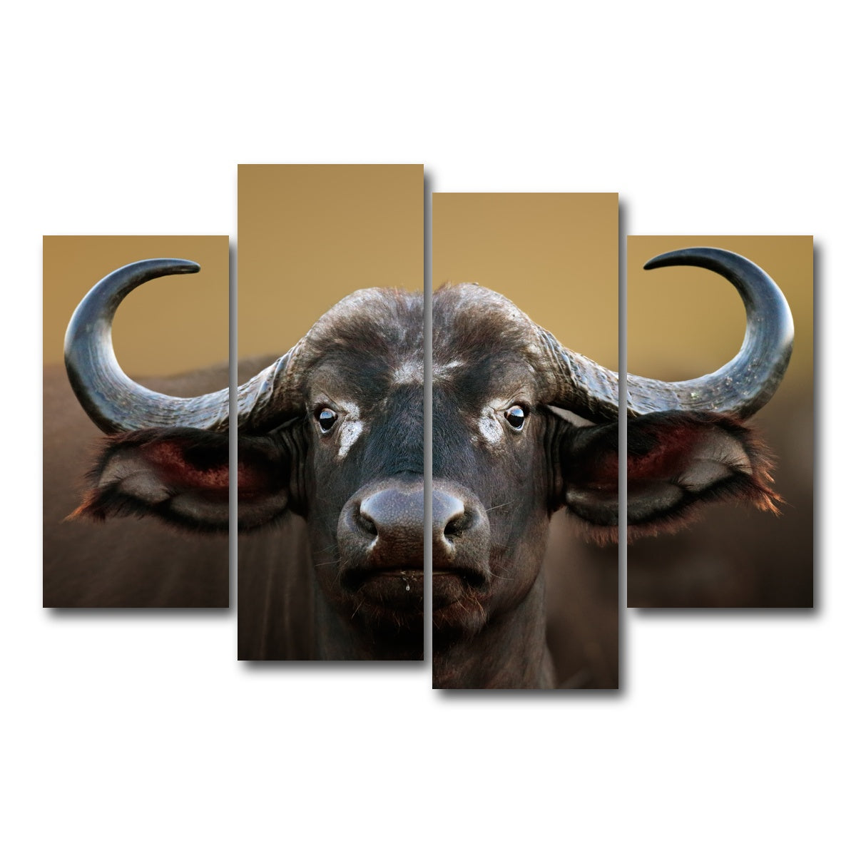 AUTO-MOCKUP WHITE | Cape Buffalo - Kruger National Park | 4 Piece | Gallery Wrap Canvas | group=4_short