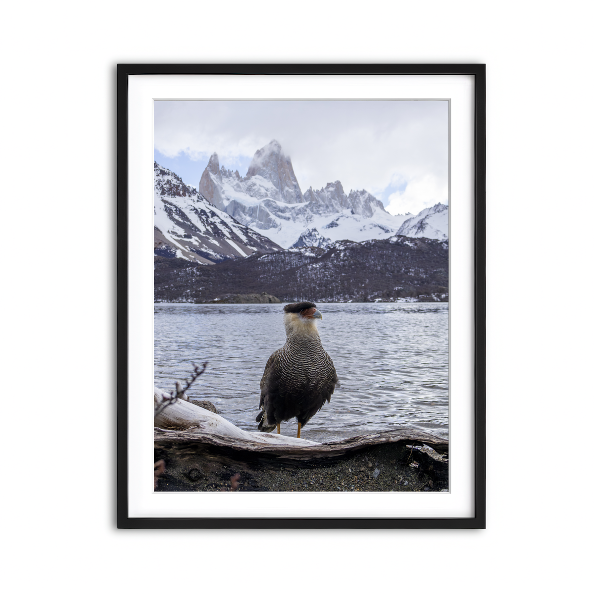 Framed Print 3x4 Black