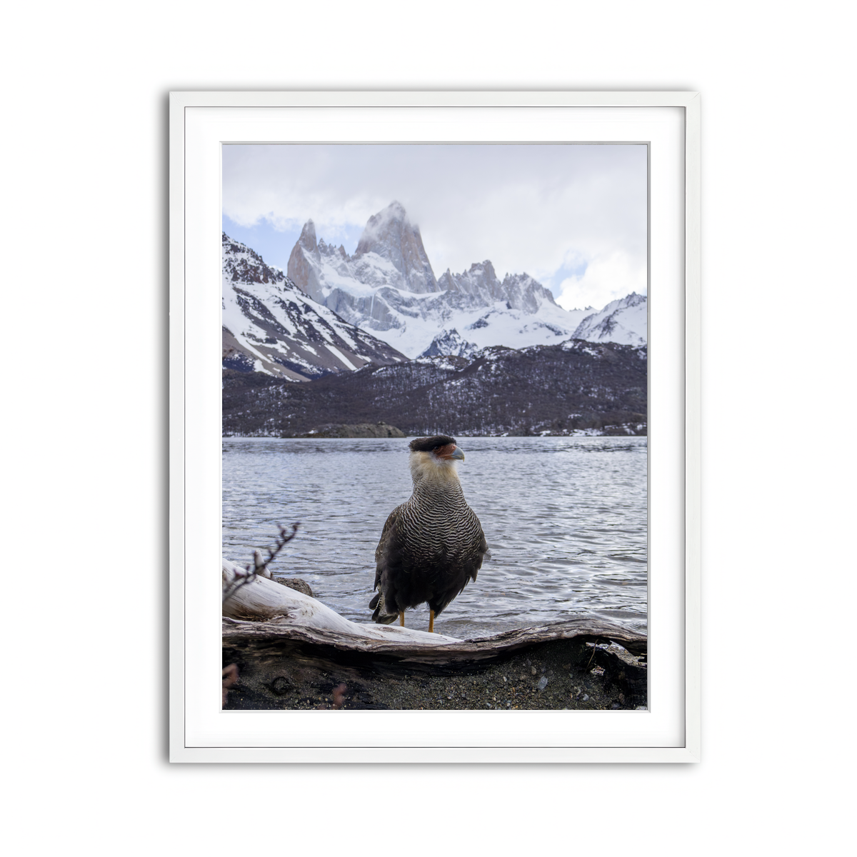 Framed Print 3x4 White