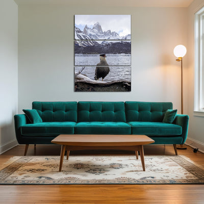 AUTO-MOCKUP ROOM | Carcara and Fitz Roy