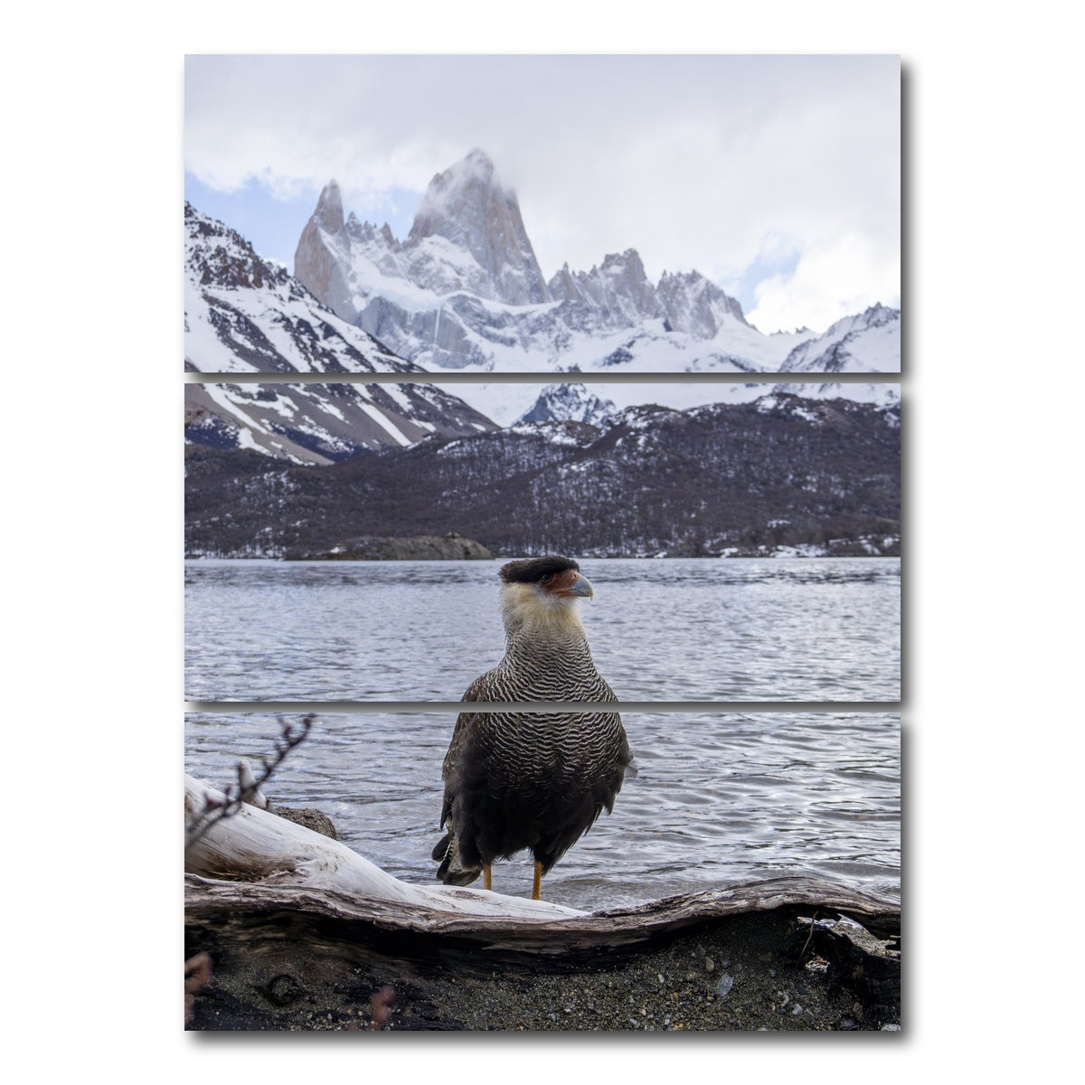 AUTO-MOCKUP WHITE | Carcara and Fitz Roy | 3 Piece | Gallery Wrap Canvas | group=8x18_stacked