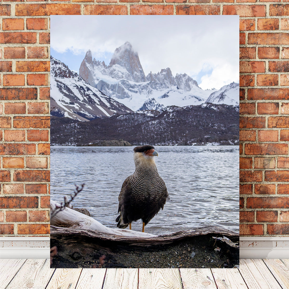 Carcará and Fitz Roy Wall Art