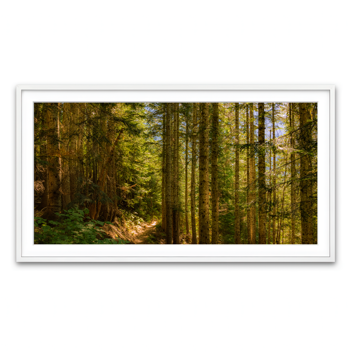 Framed Print 2x1 White