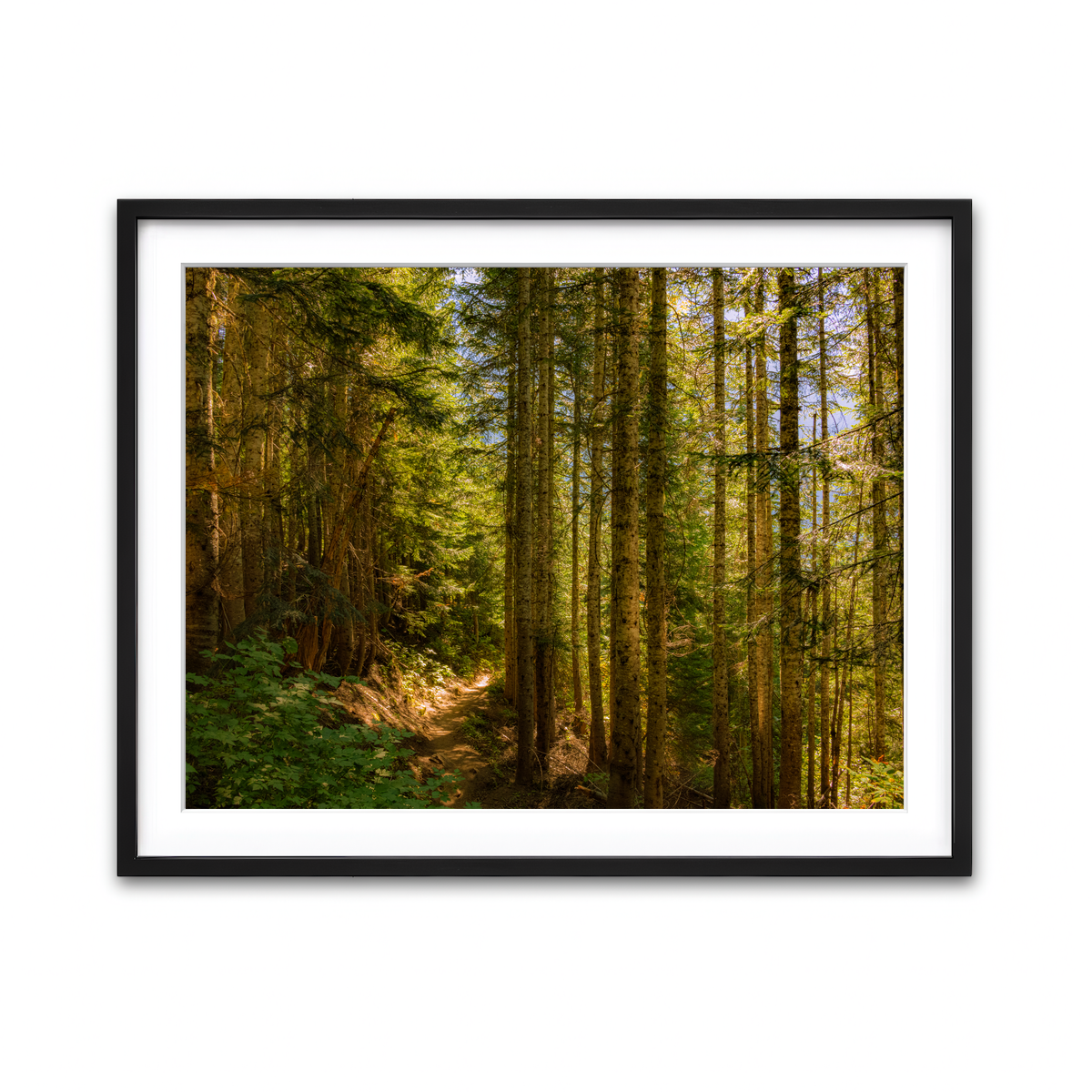 Framed Print 4x3 Black
