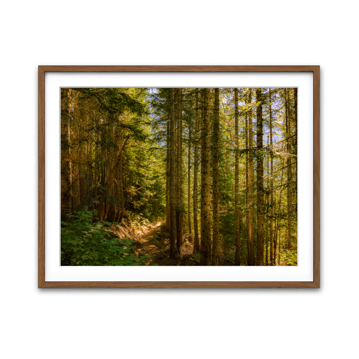 Framed Print 4x3 Walnut