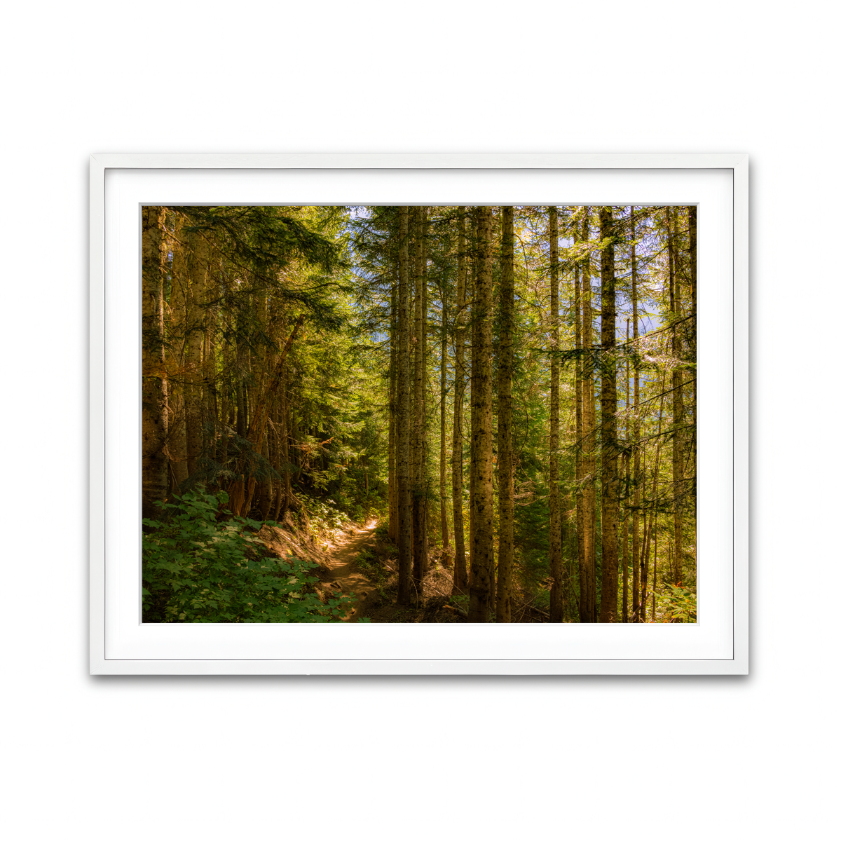 Framed Print 4x3 White