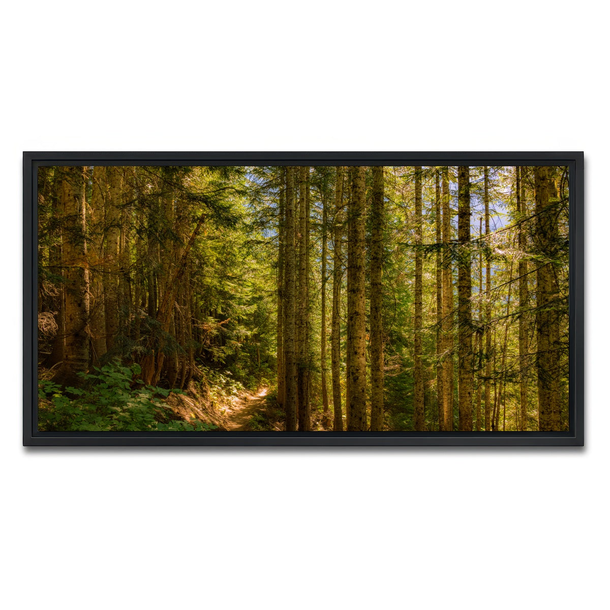 AUTO-MOCKUP WHITE | Cascade Pass | 1 Piece | Black Framed Canvas | group=2x1