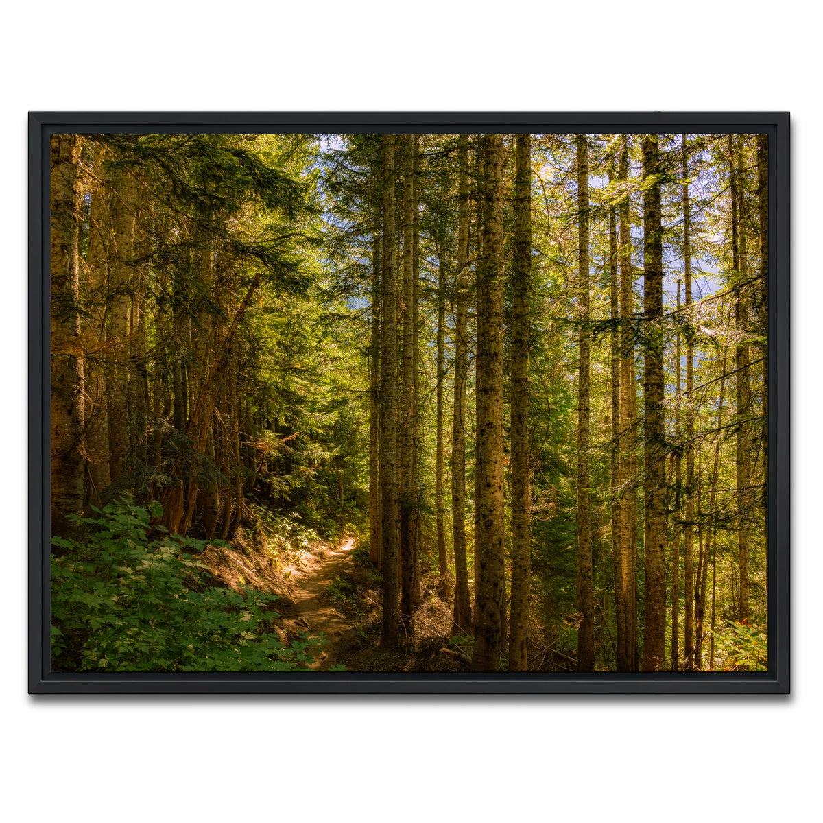 AUTO-MOCKUP WHITE | Cascade Pass | 1 Piece | Black Framed Canvas | group=4x3