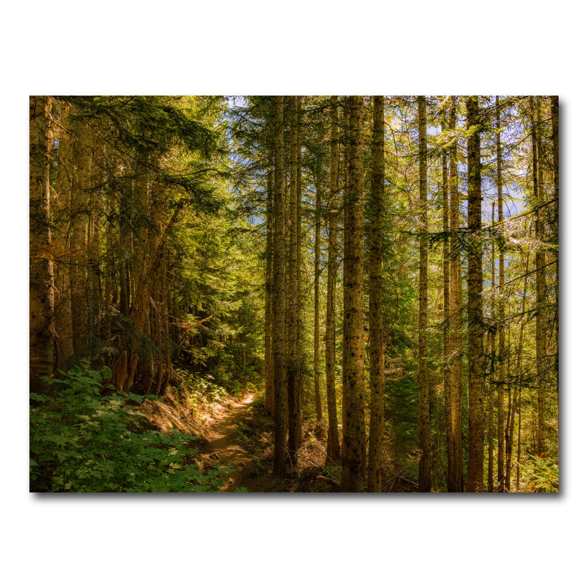 AUTO-MOCKUP WHITE | Cascade Pass | 1 Piece | Gallery Wrap Canvas | group=4x3