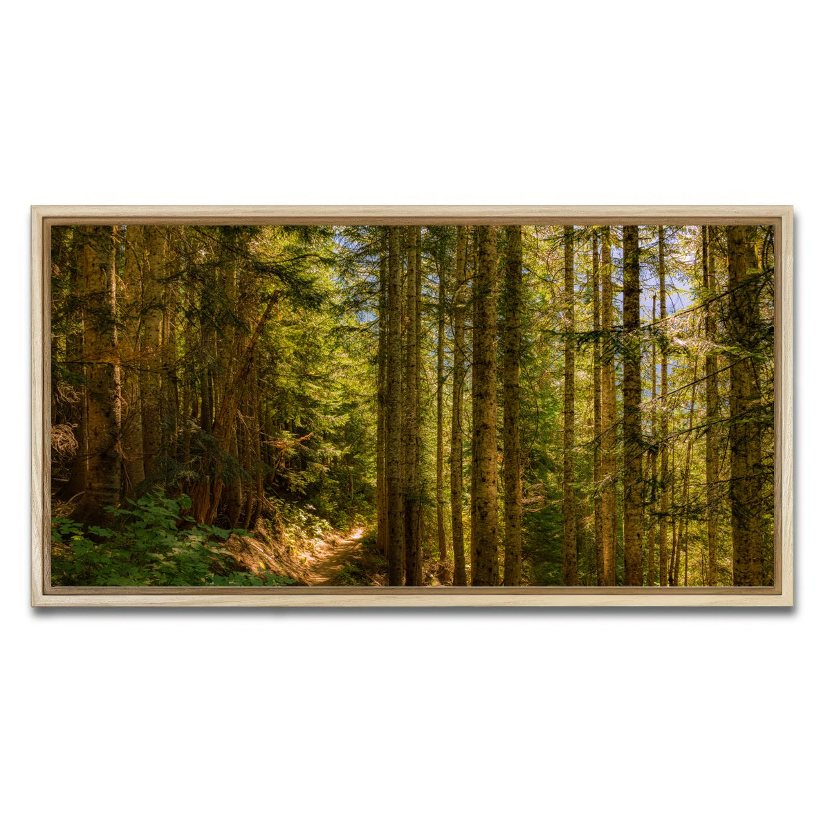 AUTO-MOCKUP WHITE | Cascade Pass | 1 Piece | Natural Framed Canvas | group=2x1