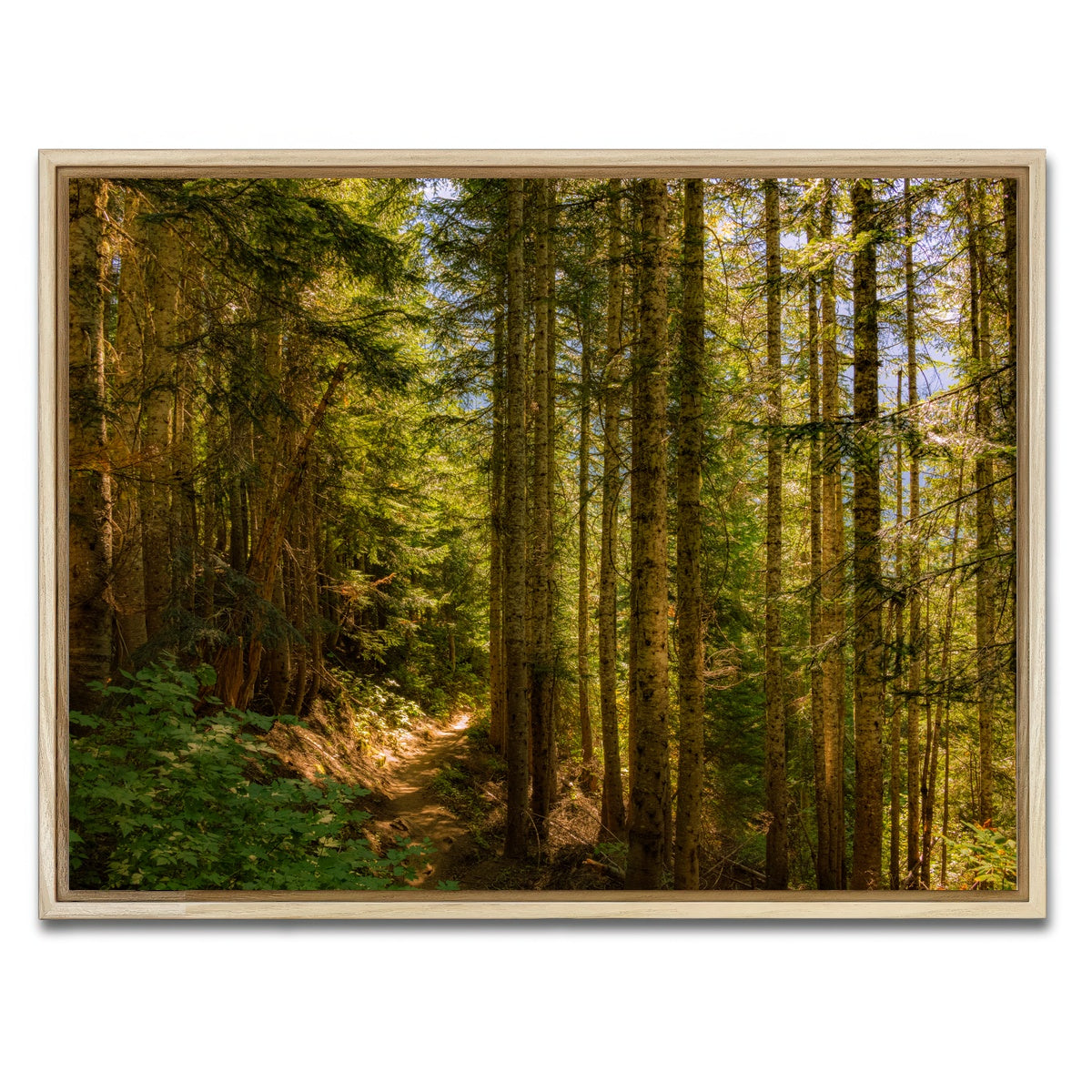 AUTO-MOCKUP WHITE | Cascade Pass | 1 Piece | Natural Framed Canvas | group=4x3