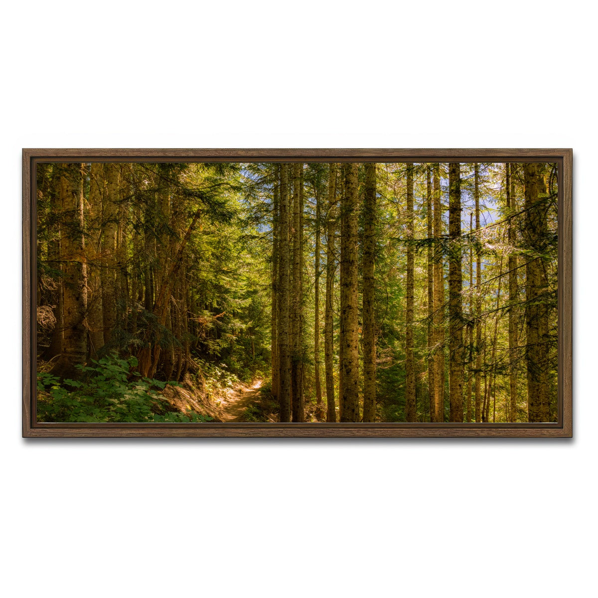 AUTO-MOCKUP WHITE | Cascade Pass | 1 Piece | Walnut Framed Canvas | group=2x1