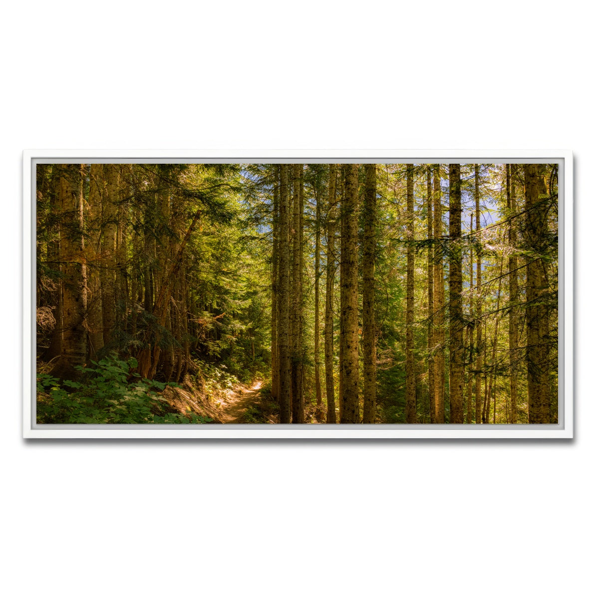 AUTO-MOCKUP WHITE | Cascade Pass | 1 Piece | White Framed Canvas | group=2x1