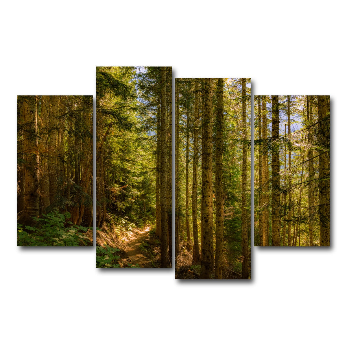 AUTO-MOCKUP WHITE | Cascade Pass | 4 Piece | Gallery Wrap Canvas | group=4_short