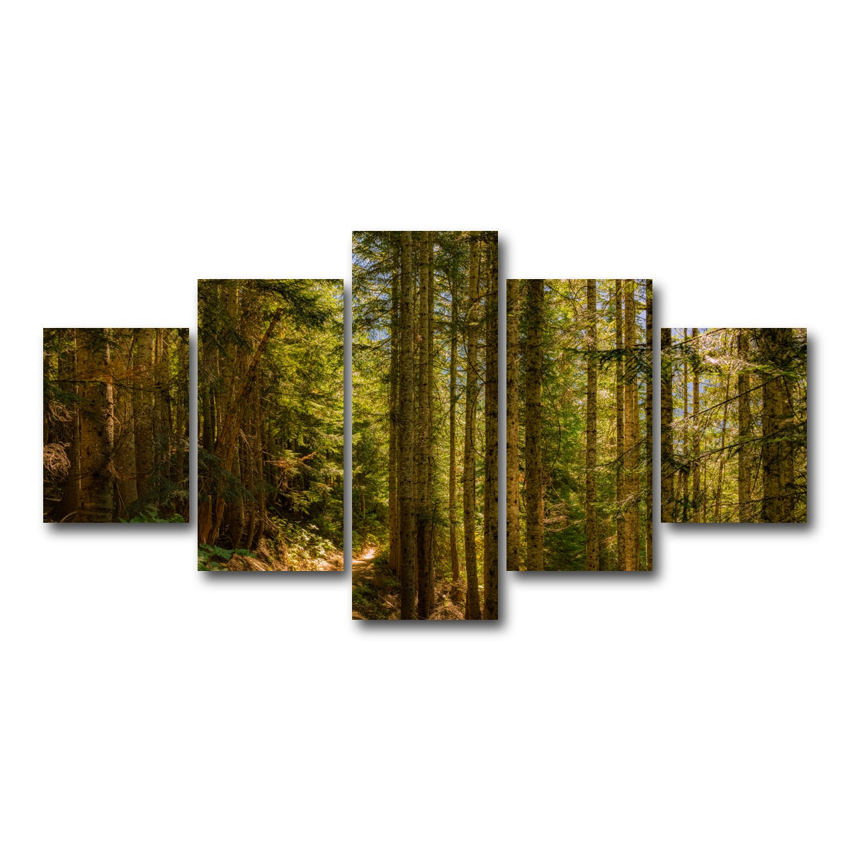 AUTO-MOCKUP WHITE | Cascade Pass | 5 Piece | Gallery Wrap Canvas | group=5_short