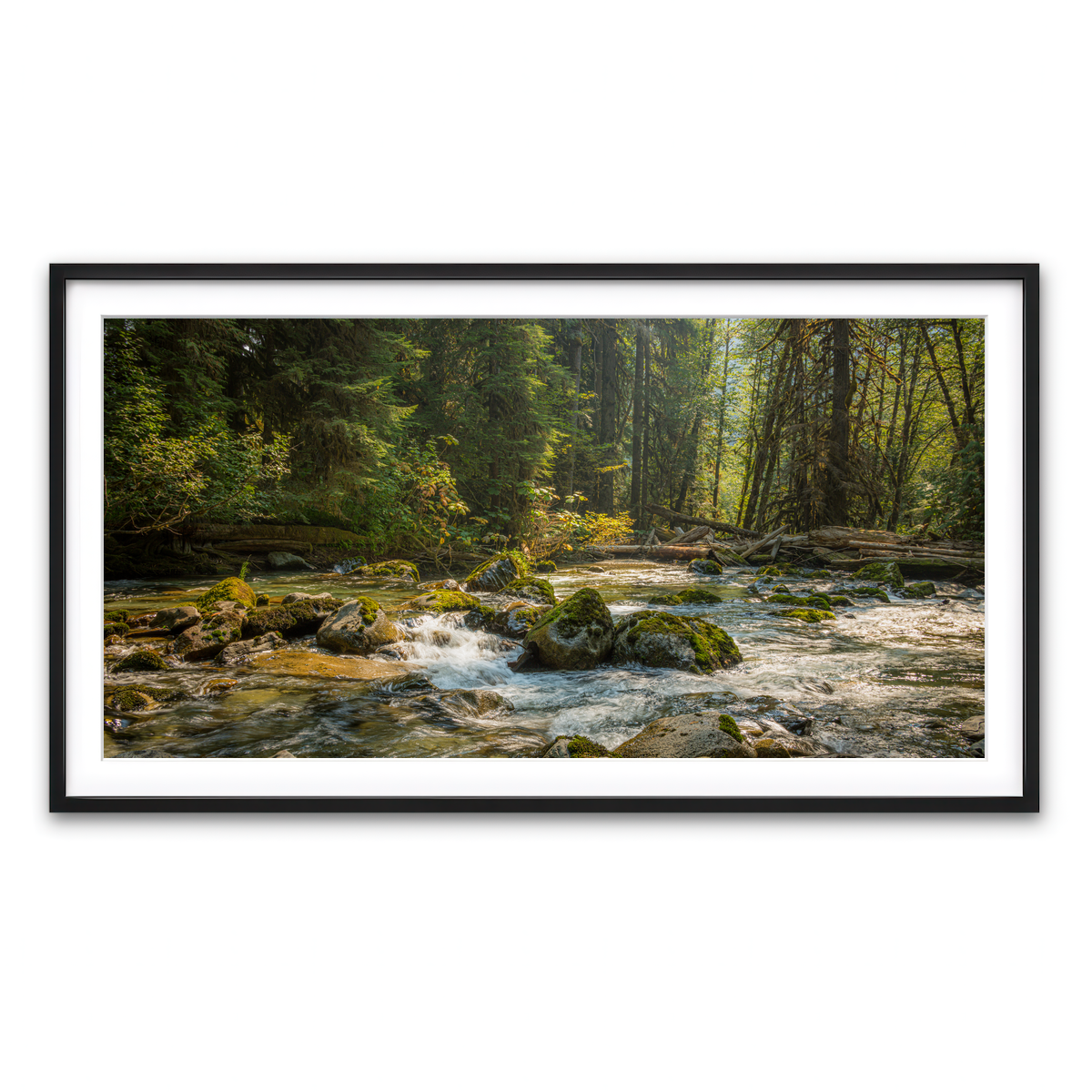 Framed Print 2x1 Black