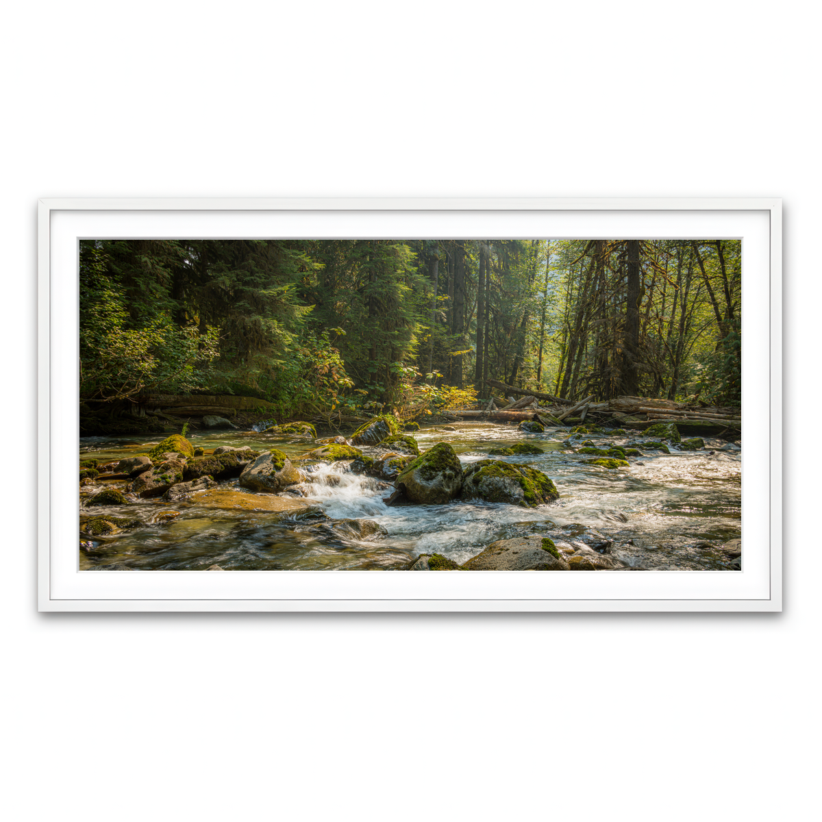 Framed Print 2x1 White