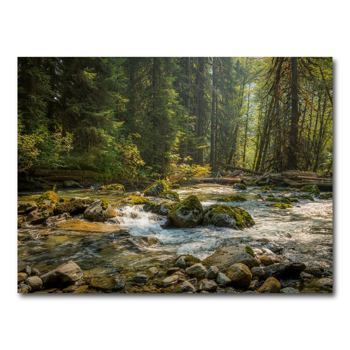 AUTO-MOCKUP WHITE | Cascade River | 1 Piece | Gallery Wrap Canvas | group=4x3