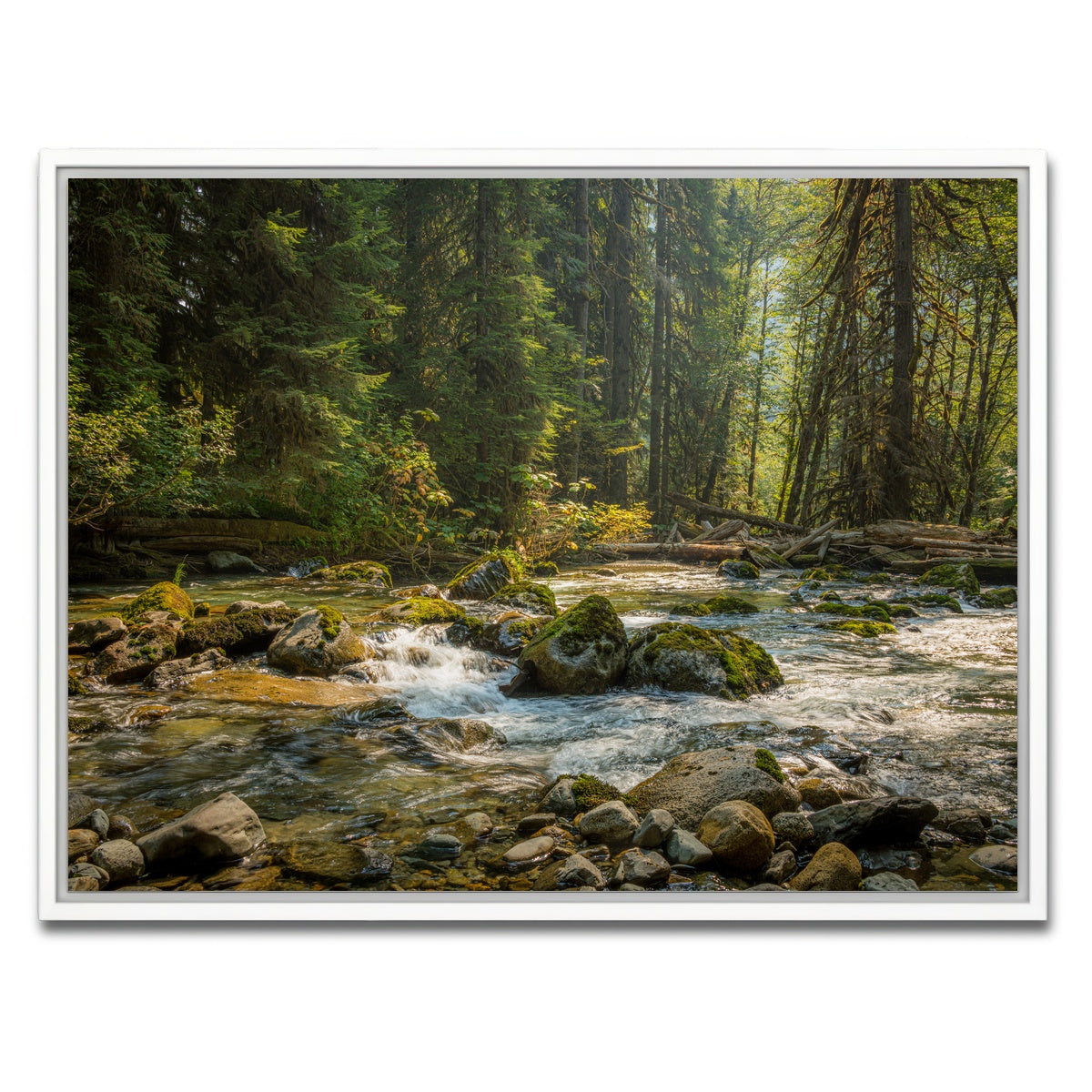 AUTO-MOCKUP WHITE | Cascade River | 1 Piece | White Framed Canvas | group=4x3