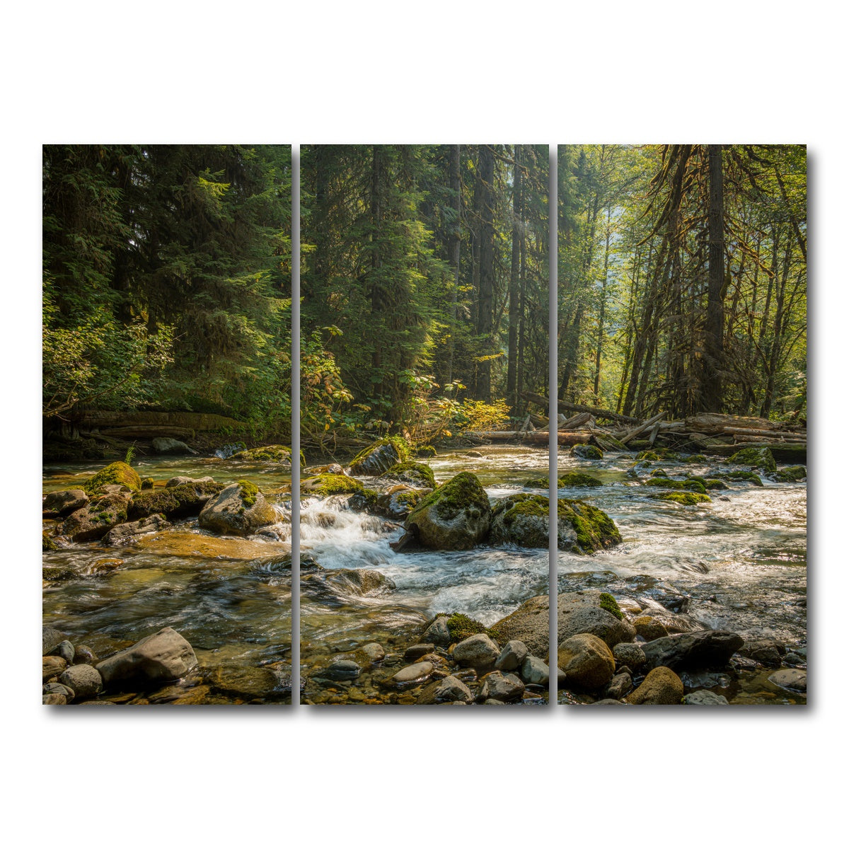 AUTO-MOCKUP WHITE | Cascade River | 3 Piece | Gallery Wrap Canvas | group=8x18