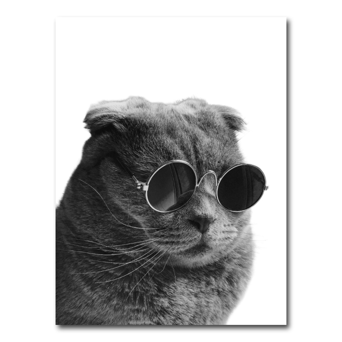 AUTO-MOCKUP WHITE | Cat Cool | 1 Piece | Gallery Wrap Canvas | group=3x4