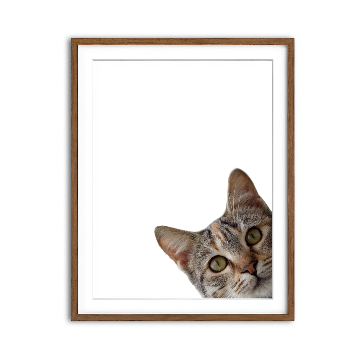 Framed Print 3x4 Walnut