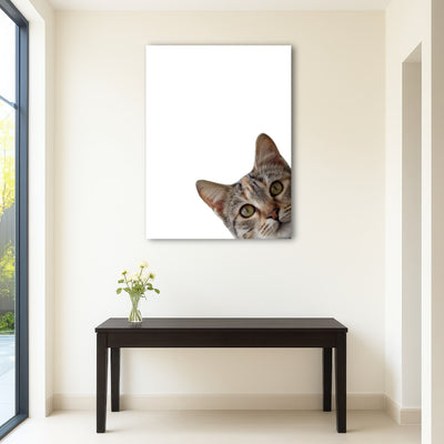 AUTO-MOCKUP ROOM | Cat Face