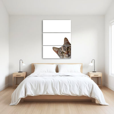 AUTO-MOCKUP ROOM | Cat Face