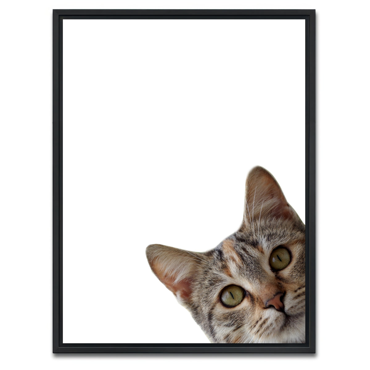 AUTO-MOCKUP WHITE | Cat Face | 1 Piece | Black Framed Canvas | group=3x4