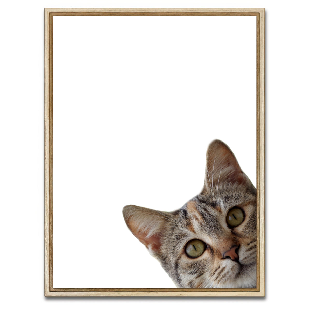 AUTO-MOCKUP WHITE | Cat Face | 1 Piece | Natural Framed Canvas | group=3x4