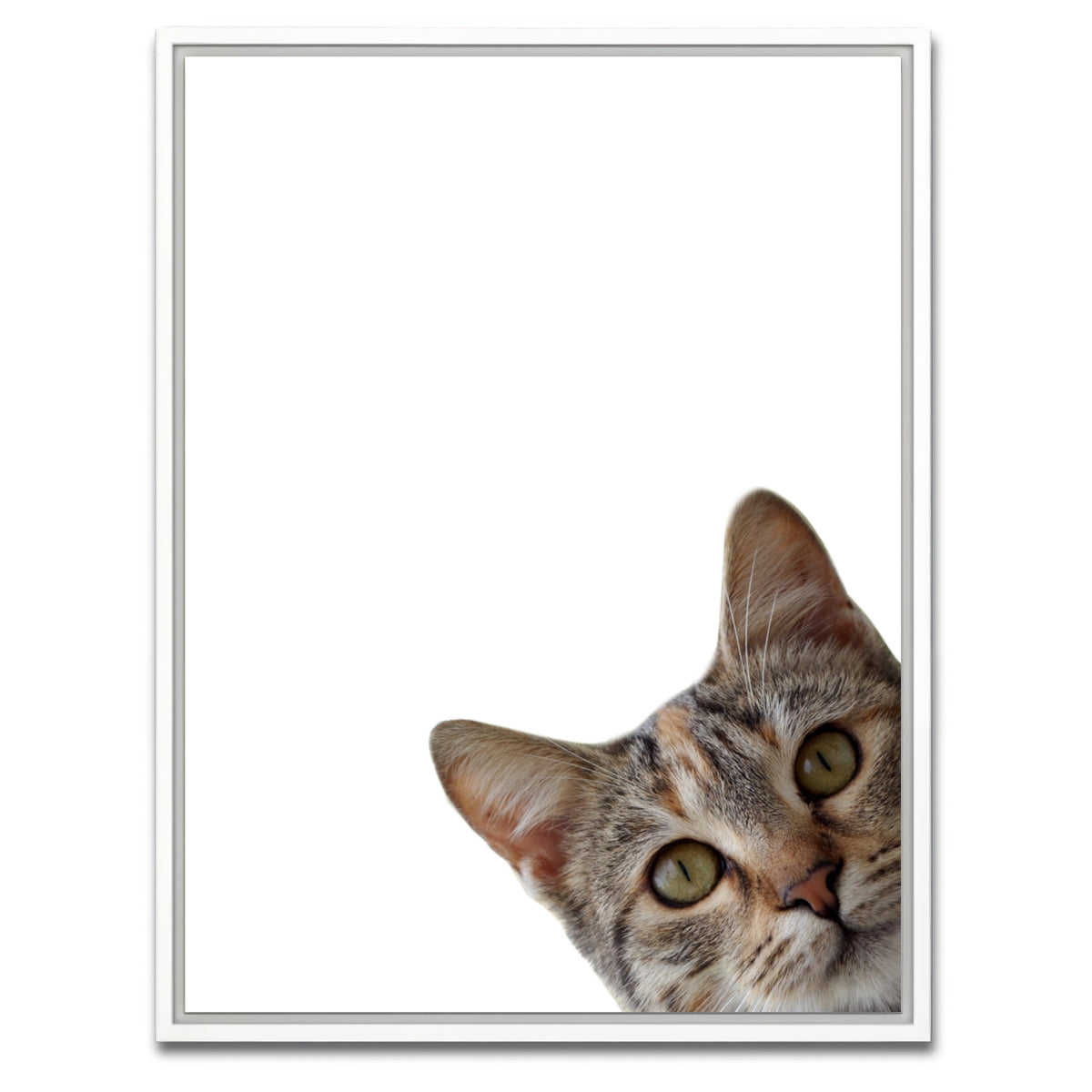AUTO-MOCKUP WHITE | Cat Face | 1 Piece | White Framed Canvas | group=3x4