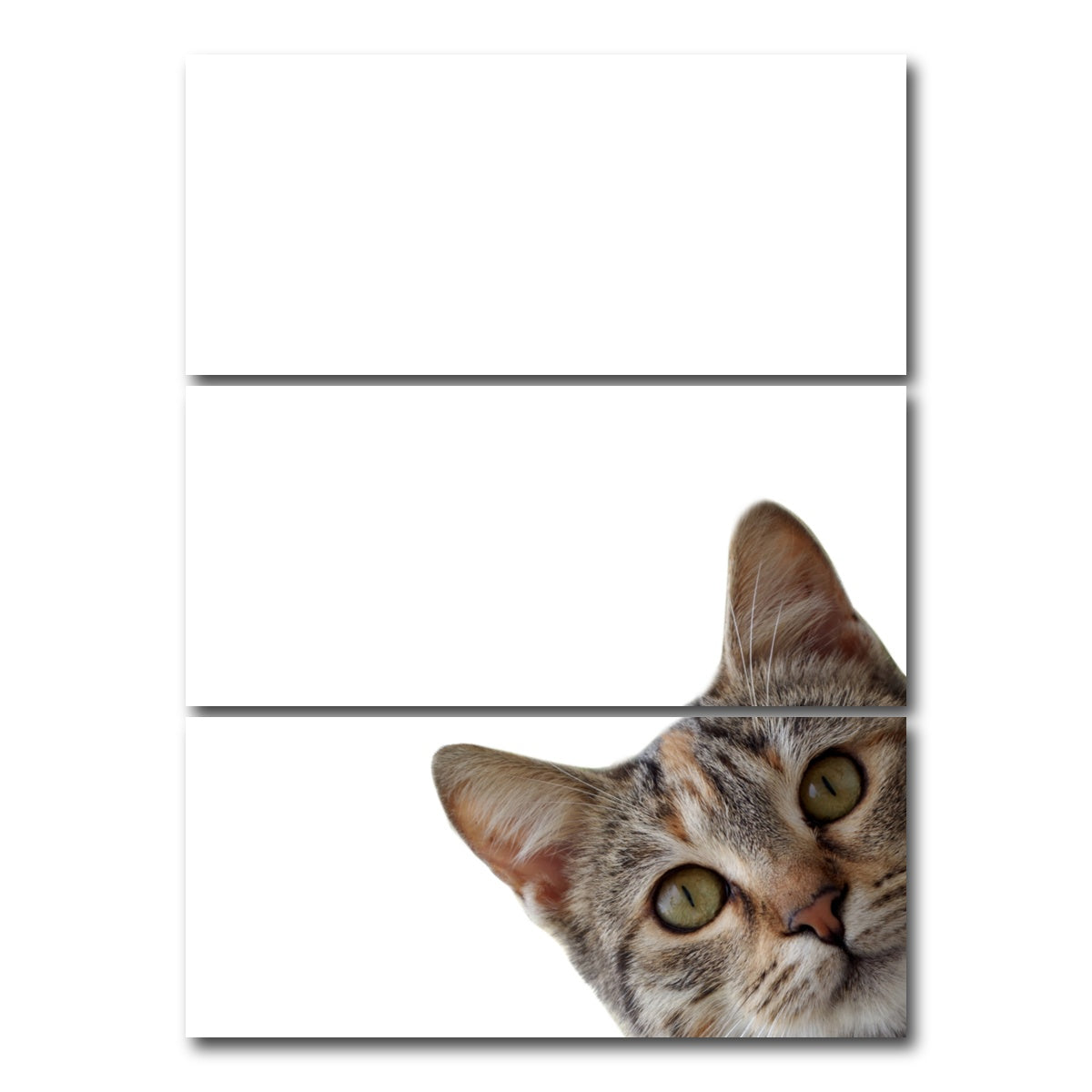 AUTO-MOCKUP WHITE | Cat Face | 3 Piece | Gallery Wrap Canvas | group=8x18_stacked
