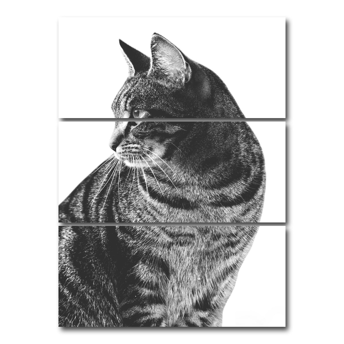 AUTO-MOCKUP WHITE | Cat Glance | 3 Piece | Gallery Wrap Canvas | group=8x18_stacked