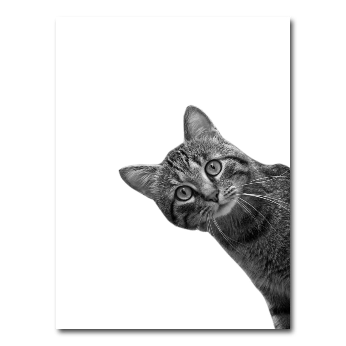 AUTO-MOCKUP WHITE | Cat | 1 Piece | Gallery Wrap Canvas | group=3x4