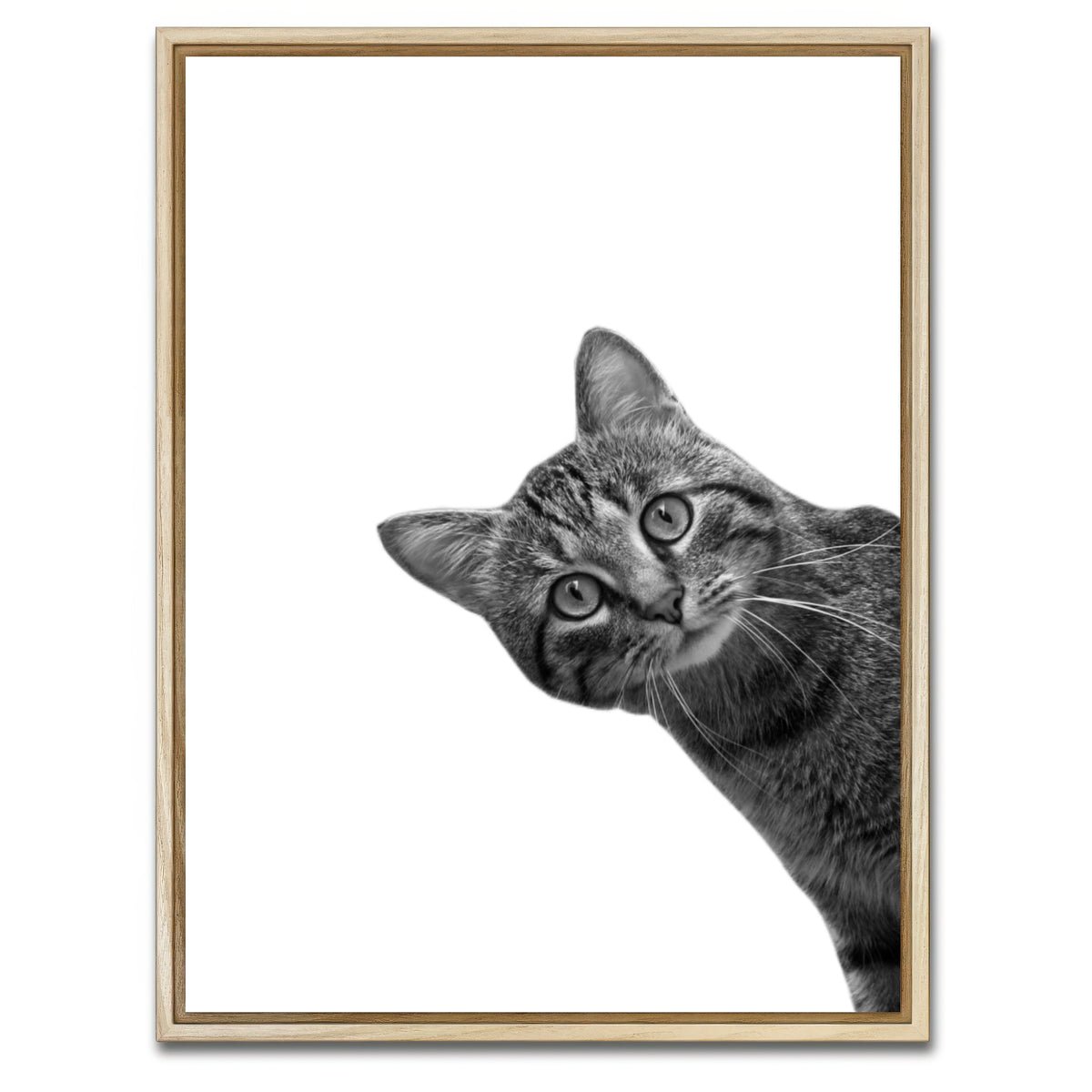 AUTO-MOCKUP WHITE | Cat | 1 Piece | Natural Framed Canvas | group=3x4