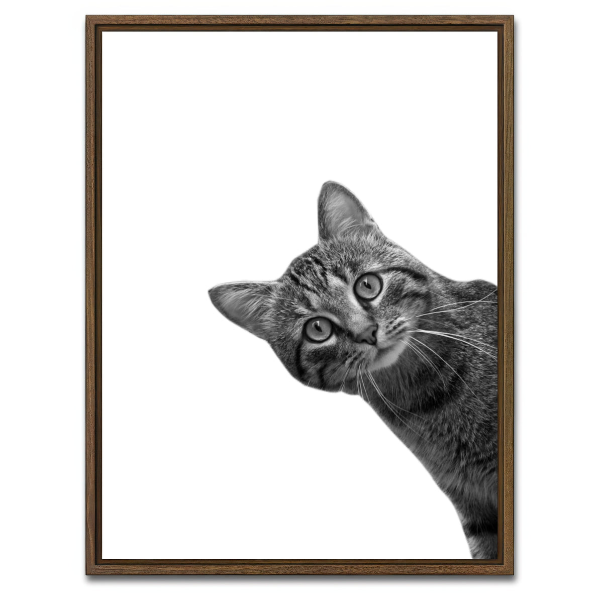 AUTO-MOCKUP WHITE | Cat | 1 Piece | Walnut Framed Canvas | group=3x4