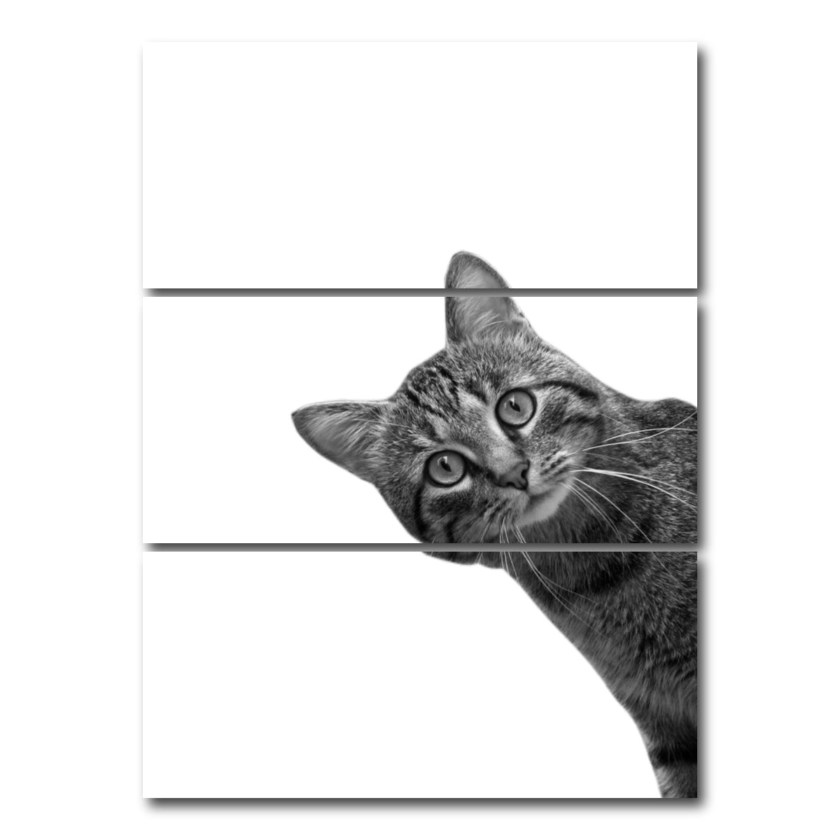 AUTO-MOCKUP WHITE | Cat | 3 Piece | Gallery Wrap Canvas | group=8x18_stacked
