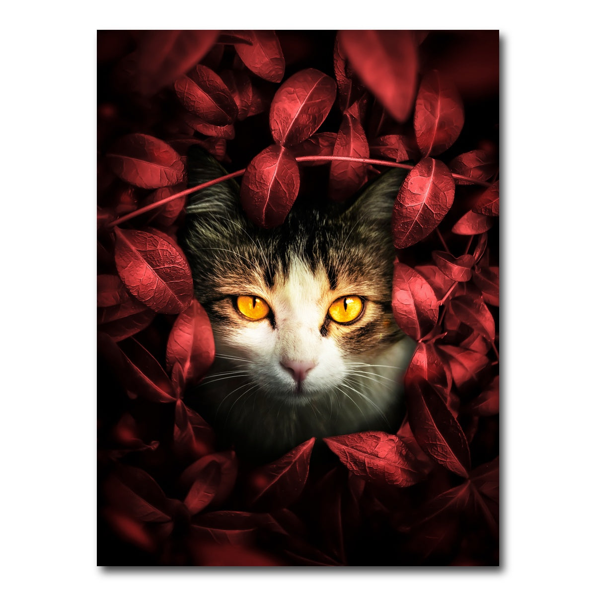 AUTO-MOCKUP WHITE | Cat hunting | 1 Piece | Gallery Wrap Canvas | group=3x4