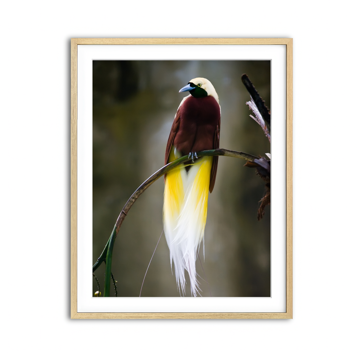 Framed Print 3x4 Natural