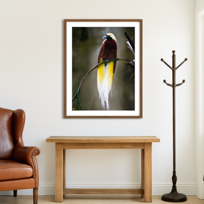 AUTO-MOCKUP ROOM | Cenderawasih Wall Art