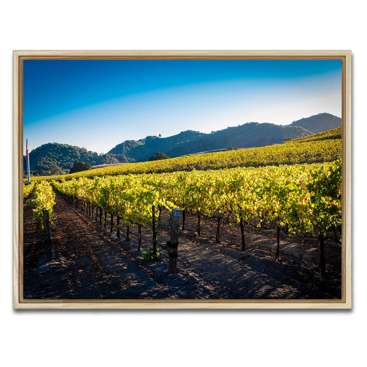 AUTO-MOCKUP WHITE | Central California Vineyard | 1 Piece | Natural Framed Canvas | group=4x3