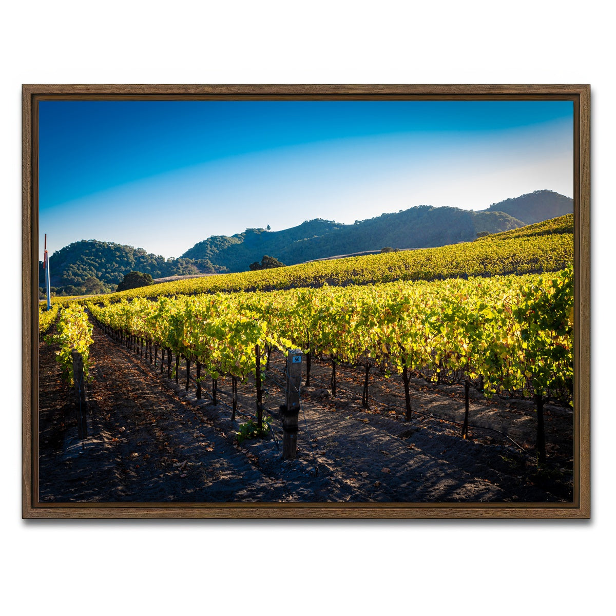 AUTO-MOCKUP WHITE | Central California Vineyard | 1 Piece | Walnut Framed Canvas | group=4x3