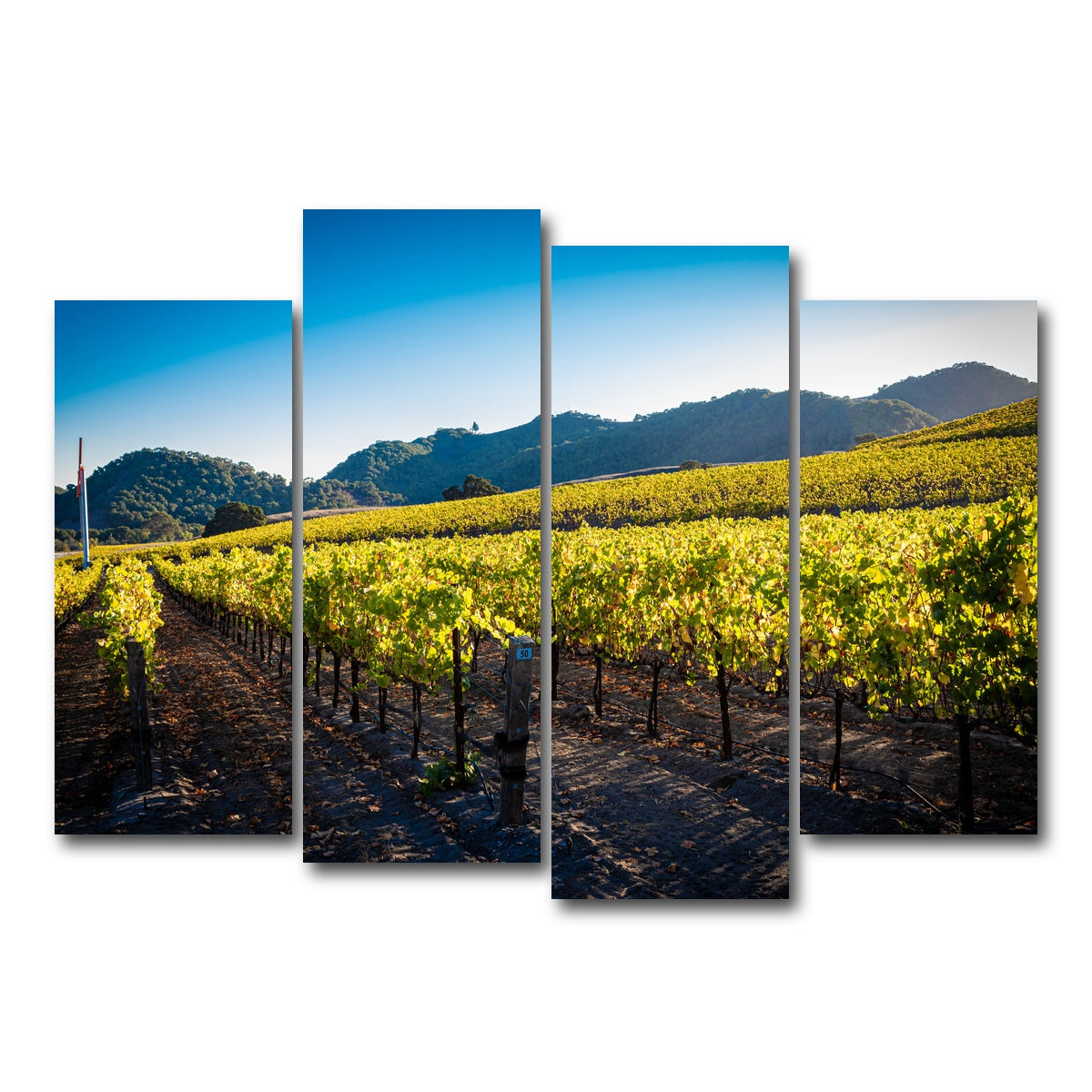 AUTO-MOCKUP WHITE | Central California Vineyard | 4 Piece | Gallery Wrap Canvas | group=4_normal