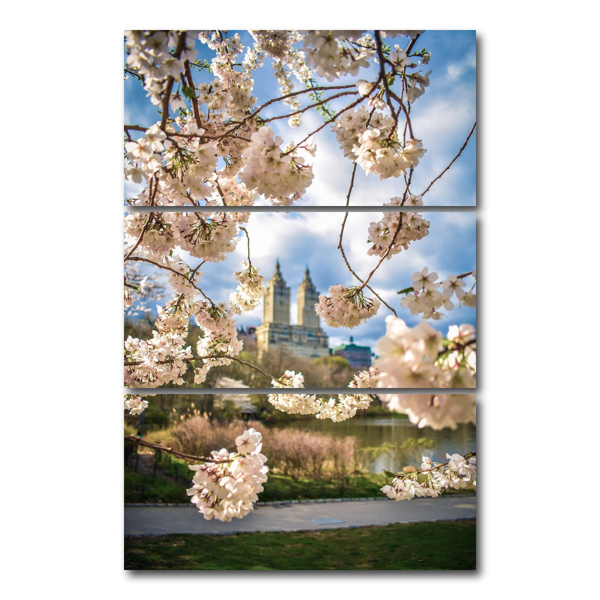 AUTO-MOCKUP WHITE | Central Park Cherry Blossoms | 3 Piece | Gallery Wrap Canvas | group=12x24_stacked