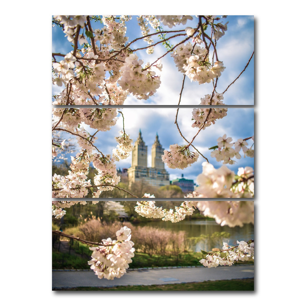 AUTO-MOCKUP WHITE | Central Park Cherry Blossoms | 3 Piece | Gallery Wrap Canvas | group=8x18_stacked
